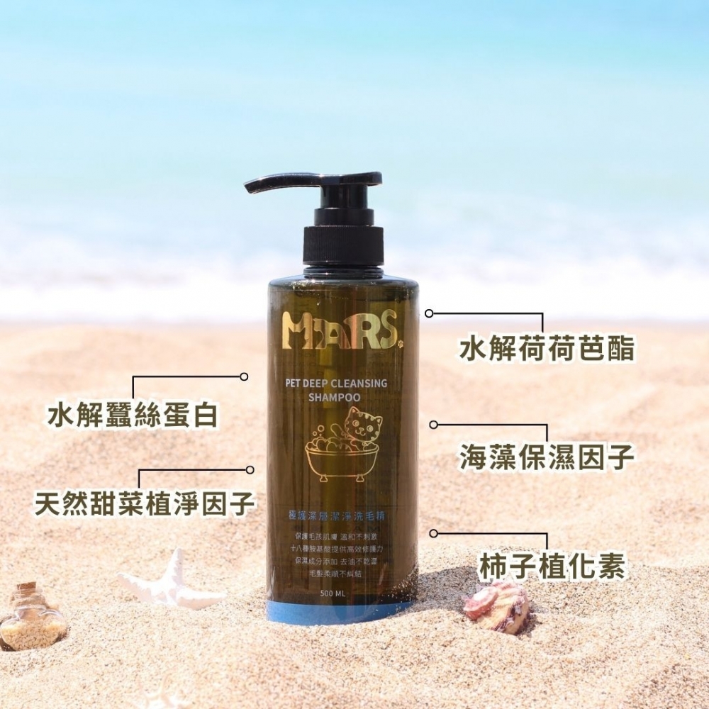 深層潔淨洗毛精